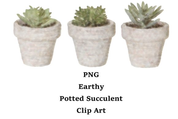 Download PNG Earthy Potted Succulent Art - Premium Resources