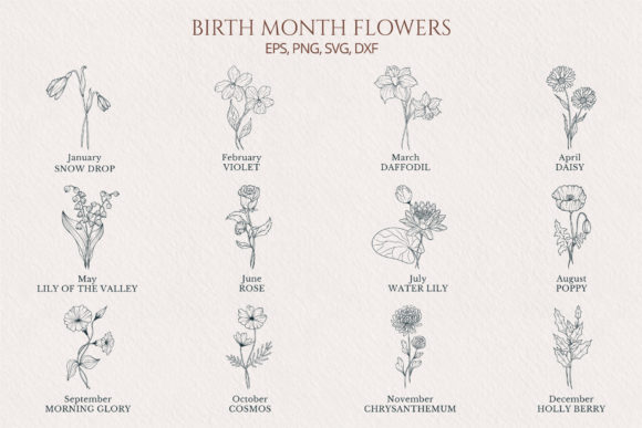 Download Hand Drawn Birth Month Flower Collection - Birth month Collection