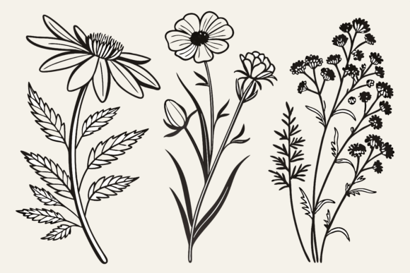 Download Birth Month Flowers Line Art SVG - Birth month Collection
