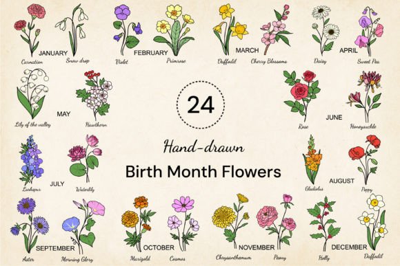 Download 24 Hand-drawn Birth Month Flowers Bundle - Birth month Collection