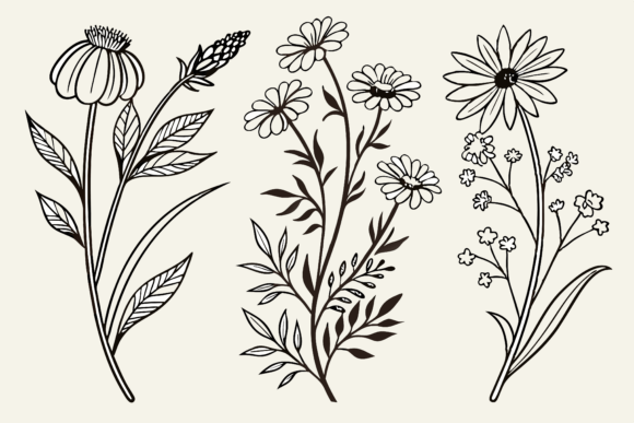 Download Birth Month Flowers Line Art SVG - Birth month Collection