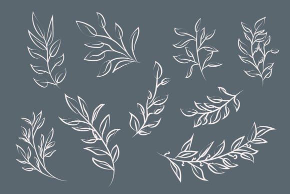 Download Botanical Leaves and Branches Lines Art - Premium Resources