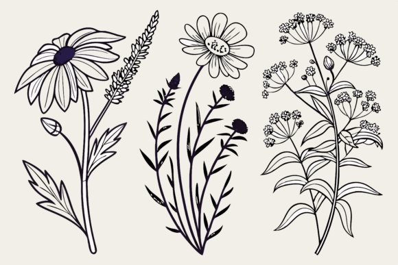 Download Birth Month Flowers Line Art SVG - Birth month Collection