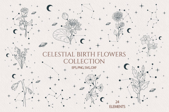Download Hand Drawn Celestial Birth Month Flowers - Birth month Collection