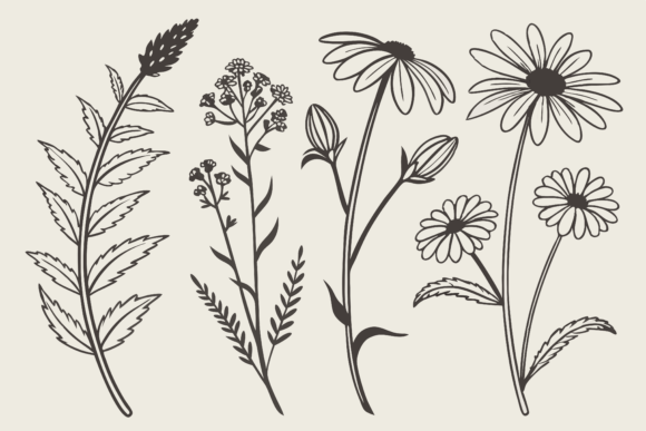 Download Birth Month Flowers Line Art SVG - Birth month Collection