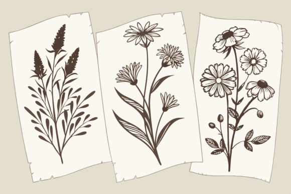 Download Birth Month Flowers Line Art SVG - Birth month Collection
