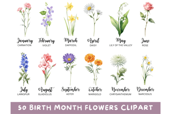 Download 50 Watercolor Birth Month Flowers PNG - Birth month Collection