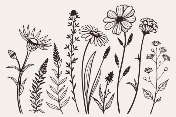 Download Birth Month Flowers Line Art SVG - Birth month Collection