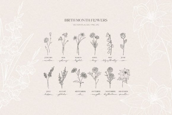 Download Birth Month Flowers, Botanicals - Birth month Collection