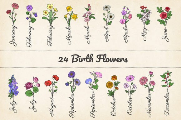 Download 24 Minimalist Birth Month Flowers, SVG - Birth month Collection