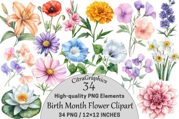 Download Watercolor Birth Month Flower Clipart - Birth month Collection